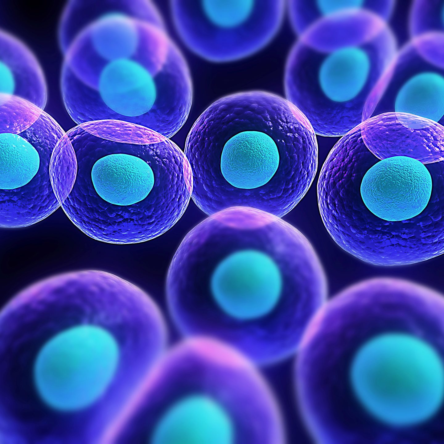 Клеточная биология: стволовые клетки человека